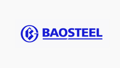 Baoshan iron and steel group