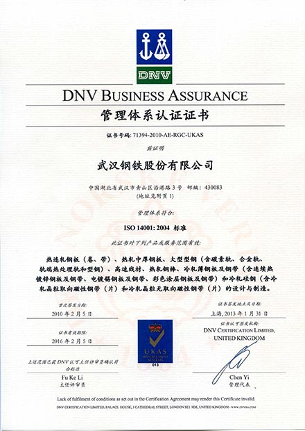 DNV Business Assurance-2-1