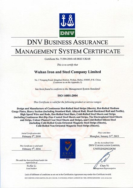 DNV Business Assurance-2-3