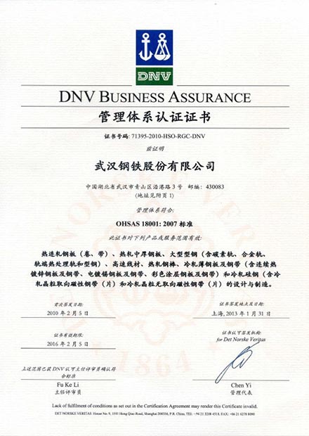 DNV Business Assurance-3-1