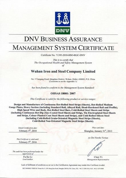 DNV Business Assurance-3-3